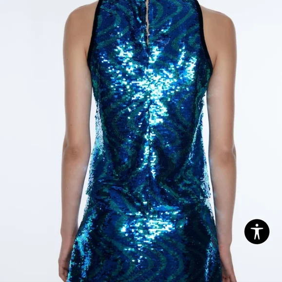 NWTs zara sequin skirt and top set
